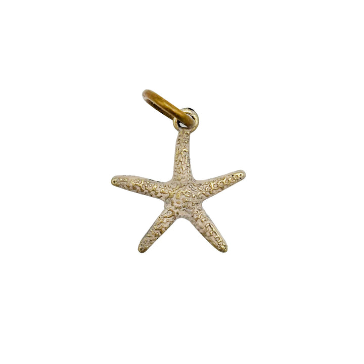 Starfish Charm (available with Bracelet or Necklace)