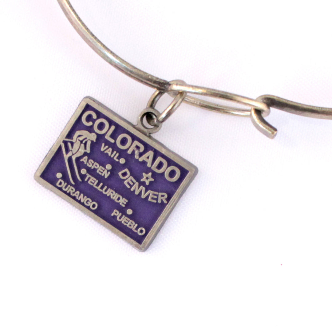 Colorado State Charm with map and skier, hand-painted, hypoallergenic, available as charm on card, bracelet, or necklace.