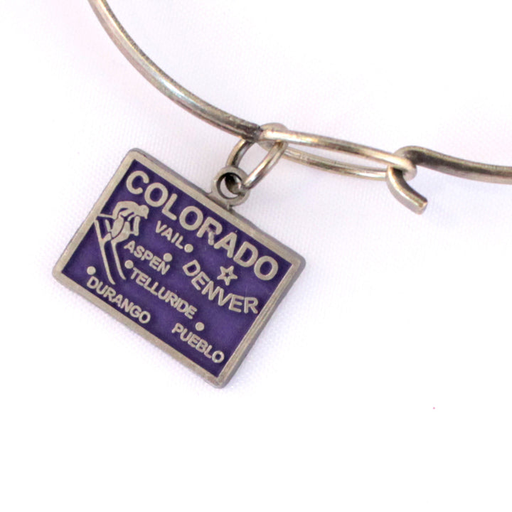 Colorado State Charm with map and skier, hand-painted, hypoallergenic, available as charm on card, bracelet, or necklace.