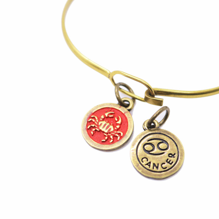 Cancer Zodiac Charm (available with Bracelet or Necklace)