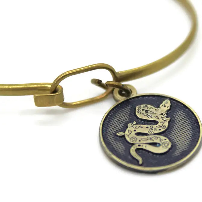 Shed Your Past Token (available with Bracelet or Necklace)