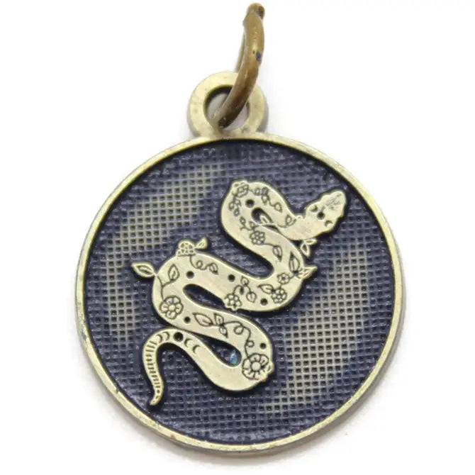 Shed Your Past Token (available with Bracelet or Necklace)