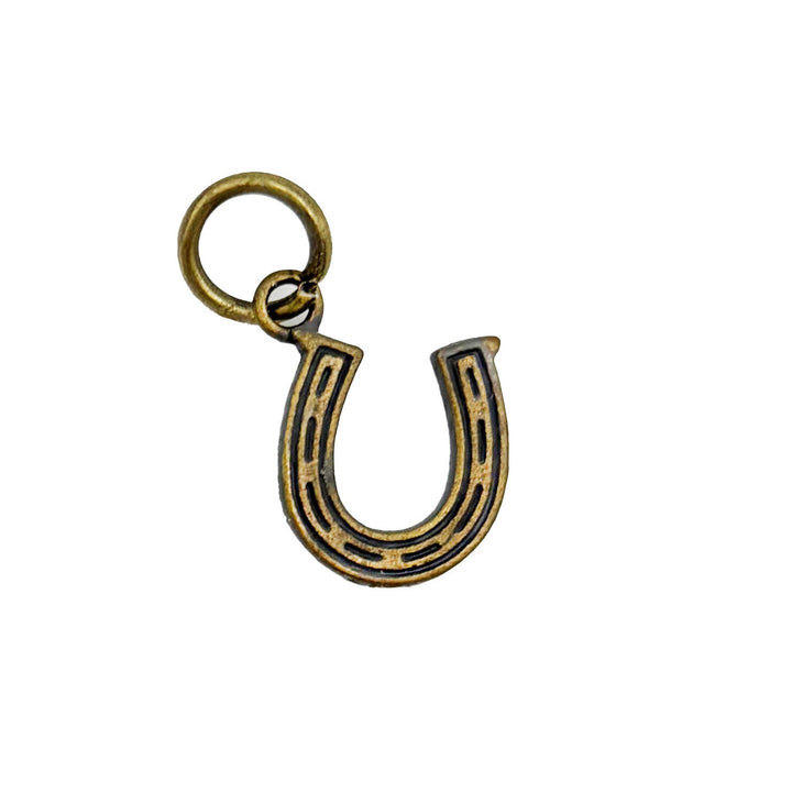 Horseshoe Good Luck Charm (available with Bracelet or Necklace)
