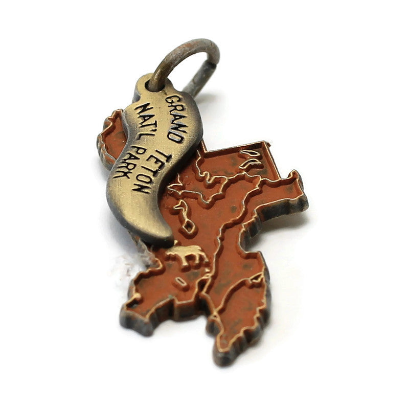 Grand Teton National Park Charm Bracelet, Necklace, or Charm Only