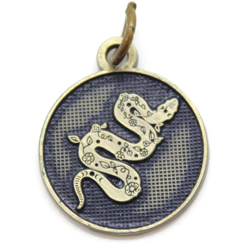 Shed Your Past Token Charm Bracelet, Necklace, or Charm Only