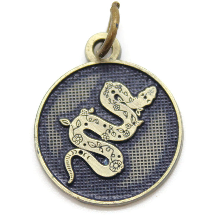 Shed Your Past Token Charm Bracelet, Necklace, or Charm Only