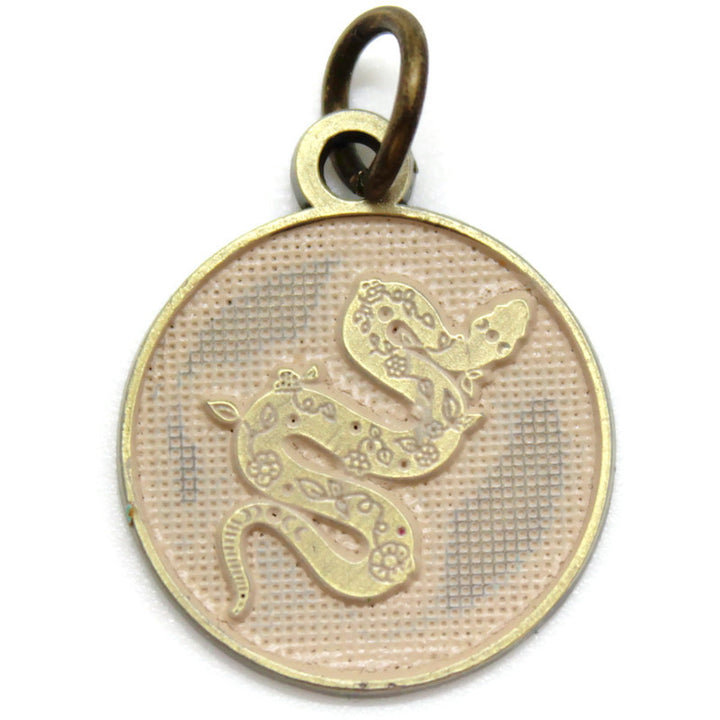 Shed Your Past Token Charm Bracelet, Necklace, or Charm Only