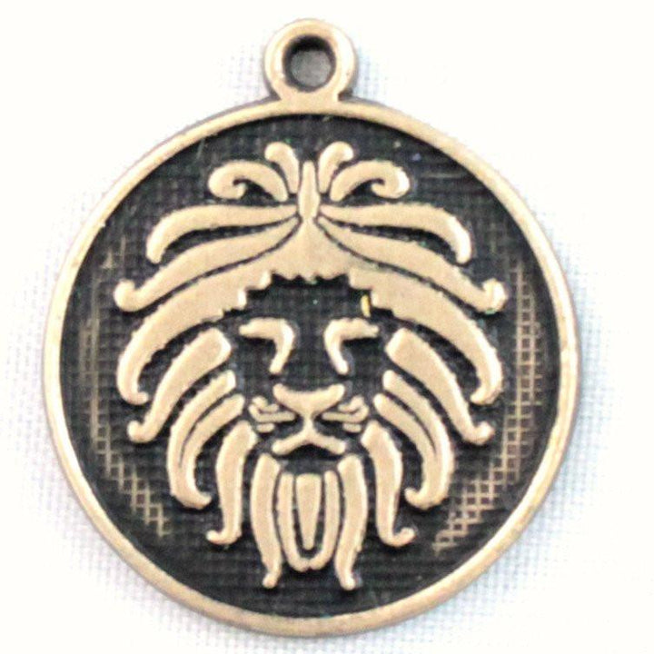 Brave Token Charm Bracelet, Necklace, or Charm Only