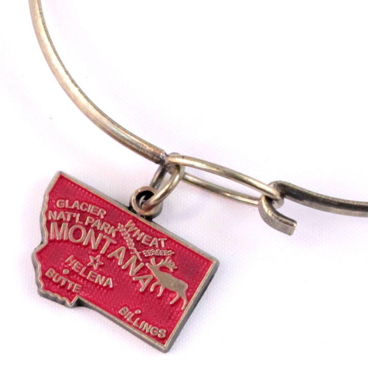 Montana State Charm Bracelet, Necklace, or Charm Only