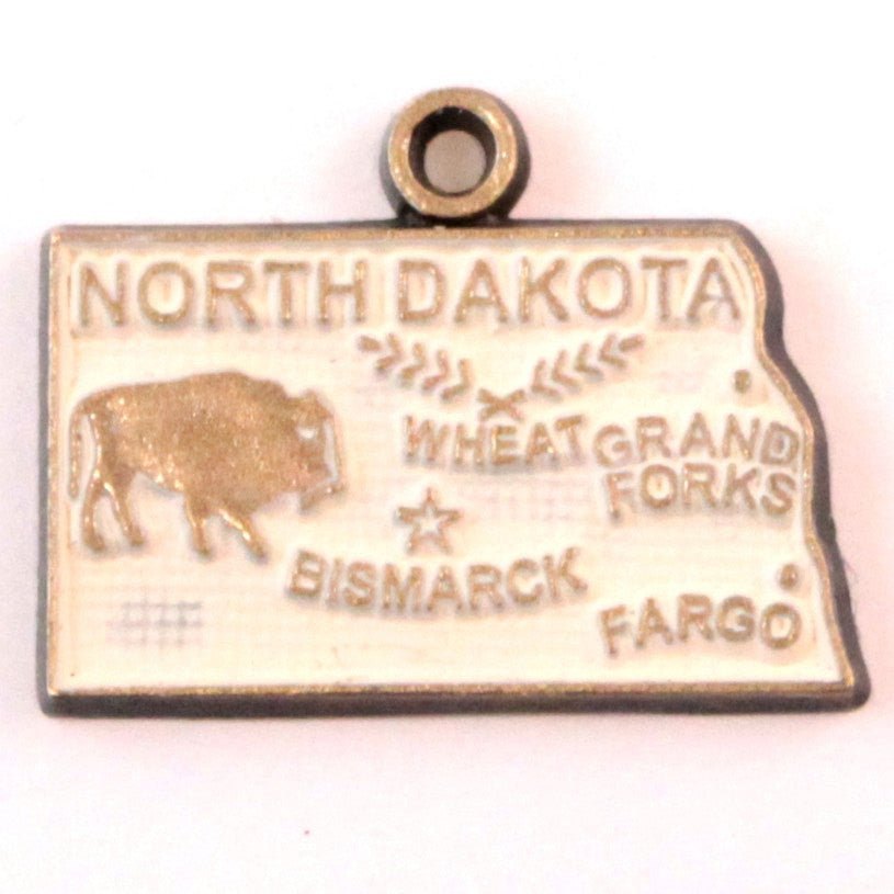 North Dakota State Charm Bracelet, Necklace, or Charm only
