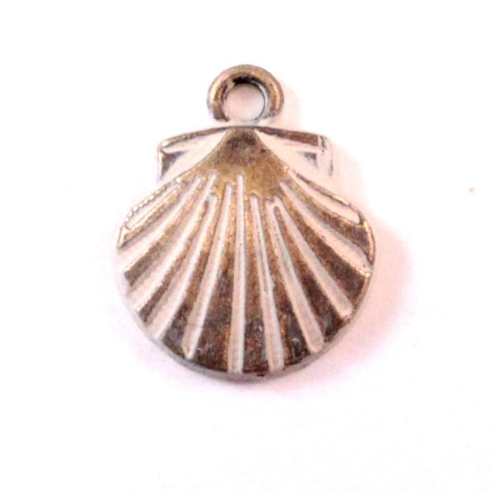 Shell Charm Bracelet, Necklace, or Charm Only