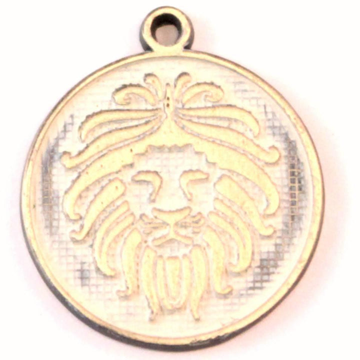 Brave Token Charm Bracelet, Necklace, or Charm Only